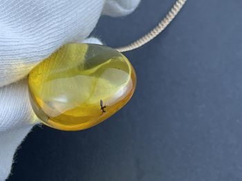 Mặt dây chuyền hổ phách có côn trùng cổ đại MHP080922-04