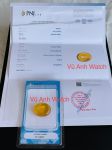 Đá hổ phách tự nhiên nguyên khối có kiểm định PNJ Natural Amber 199791