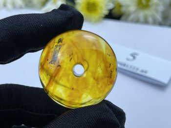 Đồng Điếu Hổ Phách Tự Nhiên Có Côn Trùng MHP081222-05 – Bảo Vật Phong Thủy Vượt Thời Gian