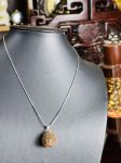 Giọt hổ Phách Amber drops huyết dụ 301222 - 06