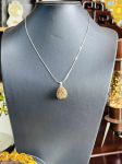 Giọt hổ Phách Amber drops huyết dụ 301222 - 06