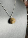 Giọt hổ Phách Amber drops huyết dụ 301222 - 06