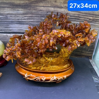 Cây Hổ Phách – Biểu Tượng Tiền Tài Lộc Và Phong Thủy Trang Trí 252CHP001