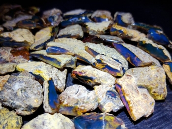 Hổ Phách Dominica: Nguồn Gốc, Đặc Điểm và Giá Trị Của Viên Ngọc Cổ Đại Caribe