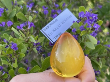 Mặt đá hổ phách tự nhiên – biểu tượng của sự trường thọ và sức khỏe dồi dào MHP190622-05