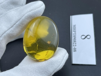 Mặt dây chuyền hổ phách MHPT090822-08