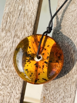 Hổ Phách Đồng Điếu có côn trùng 40tr triệu năm MHP020425-01