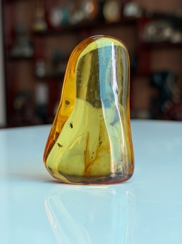 Viên Đá Hổ Phách Baltic Vàng Mật Ong Nguyên Khối Ngậm Côn Trùng Kích Thước Lớn: Tuyệt Tác Trầm Tích Triệu Năm MHP030426-01