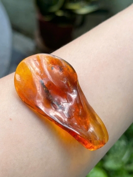 Hổ Phách Nga Baltic Có Côn Trùng – Báu Vật Tự Nhiên 40 Triệu Năm Tuổi