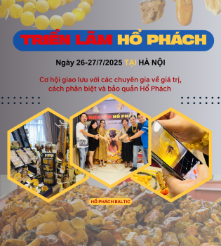 TRIỂN LÃM GIAO LƯU HỔ PHÁCH TẠI HÀ NỘI