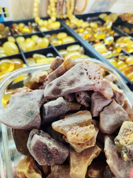 Hổ Phách Xương Khủng Long Hóa Thạch – Dòng Amber Cổ Sinh Hiếm Gặp Được Giới Sưu Tầm Quốc Tế Săn Đón