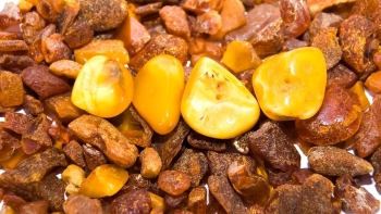 So sánh 8 loại Hổ Phách nổi tiếng nhất thế giới