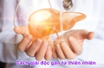 Giải Độc Gan Bằng Hổ Phách Nga Baltic: Truyền Thống và Bằng Chứng Hiện Đại